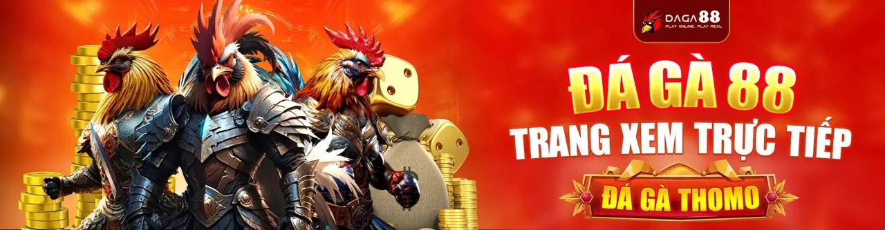 Hình ảnh đại diện cho Điều khoản và Điều kiện của 33win link vào